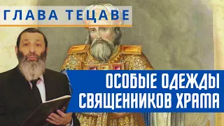 Особые одежды священников Храма. Недельная глава Тецаве | Рав Цви Патлас