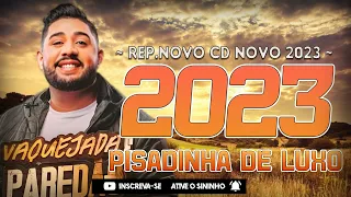 DIEGO SOUZA & PISADINHA DE LUXO - CD NOVO MUSICAS NOVAS 2023 ATUALIZADO