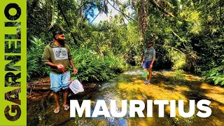 Mauritius Folge II - Die Blauen Garnelen von Mauritius