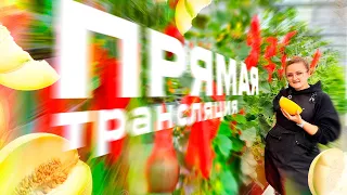 ПРЯМАЯ ТРАНСЛЯЦИЯ. Отвечаем на вопросы 17.08.2022