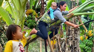 Harvesting Bananas market to sell - Buy Toys for your children | Watering the Vegetable garden