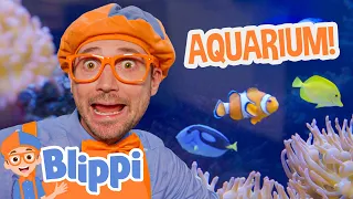 Blippi Visits the Marine Animals of the Aquarium of Boise! | Blippi Full Episodes