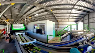 Your future in Agriculture VR360 - Episode 3 Martos Mangoes AgTech