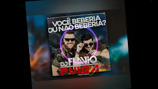 VOCÊ BEBERIA OU NÃO BEBERIA ?     ZÉ NETO E CRISTIANO/REMIX DJ FLAVIO PULGA/CAXIAS DO SUL/RS