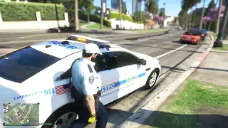 Grand Theft Auto V Lspdfr Sunny Day In Nashville with the Metro Police #youtube #gaming #lspdfr