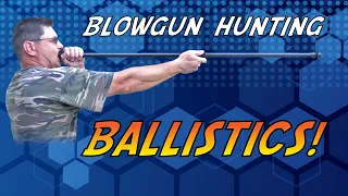 Blowgun Hunting Ballistics