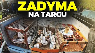 🚨 ZADYMA NA TARGU ZWIERZĄT 🚨 groził mi policją 👮 MOJE MINI ZOO / odc. 226