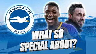 How This Manager Revolutionised Brighton