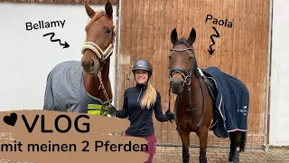 Rainy Saturday VLOG 🐴 ☔ | Marina und die Ponys