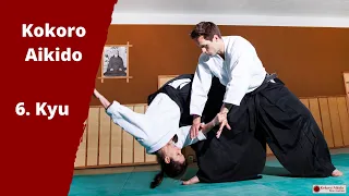 Kokoro Aikido 6. Kyu exam techniques