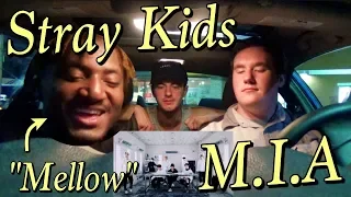 Stray Kids - M.I.A. Performance Video REACTION [Mellow]