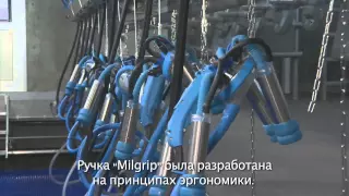 Доильный зал ПАРАЛЛЕЛЬ от Milkline - Ваша корова достойна лучшего!