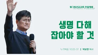 [5/26 주일 2부 - 생명 다해 잡아야 할 것 | 박보영 목사]