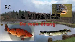 La vidange de mon étang !!!