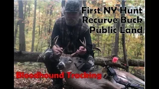 First Public Land New York Hunt - Buck Down | Bloodhound Tracking