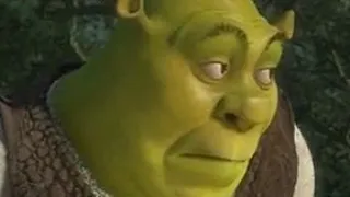 Shrek but entire movie is in 1 second