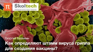 Устойчивость вирусов — Георгий Базыкин