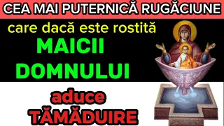 IZVORUL TĂMĂDUIRII - Cea mai puternică rugăciune către Maica Domnului - 10 Mai 2024