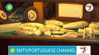 PORTUGUESE CHANNEL 63