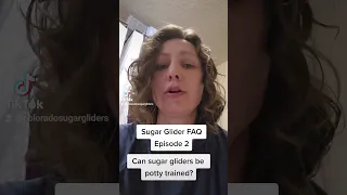 Sugar Glider FAQ, Episode 2. Can sugar gliders be potty trained?