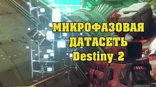 Микрофазовая Датасеть в Destiny 2 (Способы фарма)