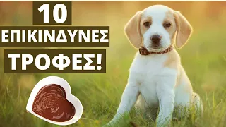 10 Τροφές Που Μπορούν Να Σκοτώσουν Το Σκύλο Σας (Επικίνδυνες & Τοξικές)!