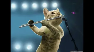 Roddy Ricch - Ballin Flute Cat Goes HARD for 1h