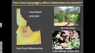 Spatial Ecology of the Great Basin Rattlesnake on the Snake River Plain