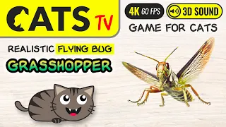 GAME FOR CATS - 3D flying bug 🙀🪲🎶 4K 🔴 60FPS [CAT TV]