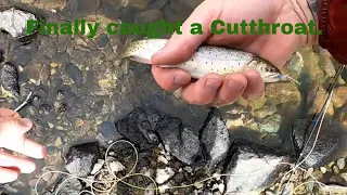 Colorado Alpine Lake Fly fishing on the hunt for Cutthroat Trout.. CO Part 3