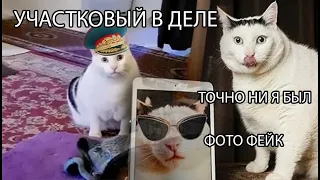 Кота Бендера посетил участковый