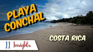 11 Insights - Playa Conchal, Costa Rica - Swann Junction