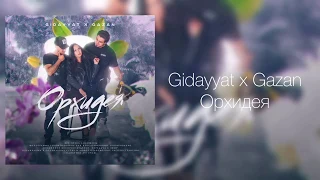 Gidayyat x Gazan - Орхидея