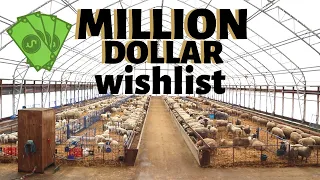 Sheep farm improvement ideas... (If I won the lottery.)   Vlog 227