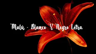 Malú - Blanco Y Negro (Letra)