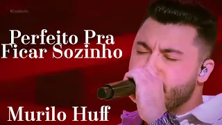 Perfeito Pra Ficar Sozinho Murilo Huff Caldeirão 19/11/22