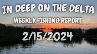 The In Deep On The Delta Weekly Fishing Report for 2/15/2024.