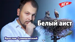 ВОТ ЭТО ГОЛОС! Обалденная Песня!  Ярослав Сумишевский Белый аист