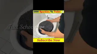 The Wanted Videos | 1000 Sparkle Vs Toilet 🚽 | #shorts #facts #mrindianhacker