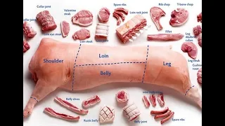 How to Butcher an Entire Pig: Every Cut of Pork Explained | Handcrafted |- HOME MADE