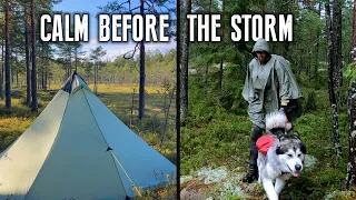 Thunderstorms incoming! ⛈️ Overnight camping with my dog #NukuYöUlkona