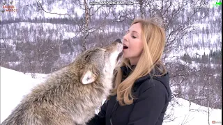 Ce loup galoche une 8/10 et vous?