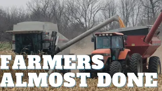 Windy Cold Gold Corn Day - Gleaner R52 - 9695 AGCO ALLIS - Unverferth 5000 #harvestchaser