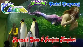 Amazing Show Putri Duyung🤹‍♀Mermaid Show & Penguin Kingdom🐧 di Ocean Dream Samudra Ancol 2023‼