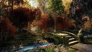 Autumn Ambience - Forest and Creek Sounds, Woodland Bird Song | 3 Hours