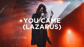 You Came (Lazarus) - Amanda Cook | Bethel Music