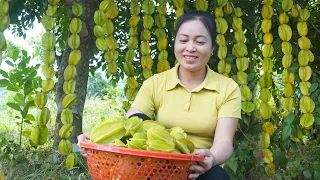 Harvesting Sour Star Fruit Goes To Market Sell - Vegetable Gardening - Live with nature