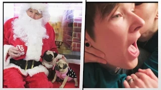 PUGS MEET SANTA! | MoreTDM