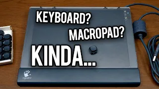 The Ergodex - An XP-Era Oversized Macro Pad… Thing (Demonstration)