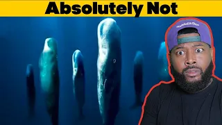 THIS IS WHY NO ONE EVER SLEEPS IN THE OCEAN | REACTION